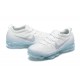 Nike Air VaporMax 2023 Flyknit Pure OG Tony (W/M) Platinum White Blue DV1678-002 Sneakers