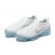 Nike Air VaporMax 2023 Flyknit Pure OG Tony (W/M) Platinum White Blue DV1678-002 Sneakers