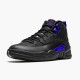 OG Tony Jordan 12 Retro Black Dark Concord