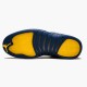 OG Tony Jordan 12 Retro Michigan