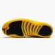 OG Tony Jordan 12 Retro Black University Gold