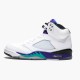 OG Tony Jordan 5 Retro Grape (2013)