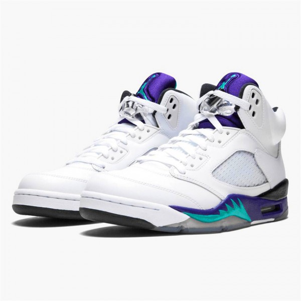 OG Tony Jordan 5 Retro Grape (2013)