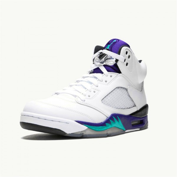 OG Tony Jordan 5 Retro Grape (2013)